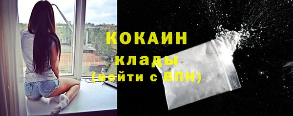 прущая мука Горняк