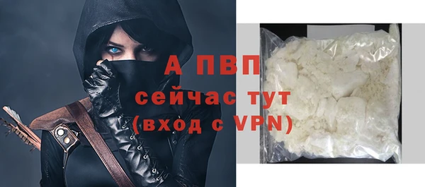 винт Горно-Алтайск